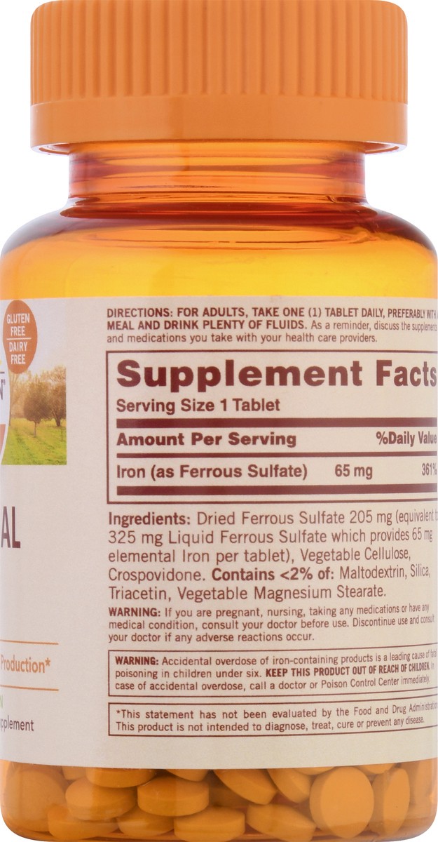 slide 8 of 9, Sundown Iron Ferrous Sulfate 65 mg, 120 ct