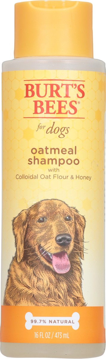 slide 11 of 14, Burt's Bees Oatmeal Shampoo for Dogs 16 fl oz, 16 fl oz