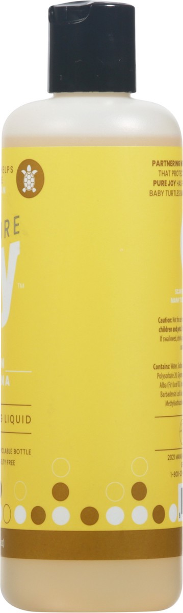 slide 6 of 11, Pure Joy Lemon Verbena Dishwashing Liquid 16 fl oz, 16 fl oz