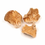 slide 1 of 1, Misty Mountain Dried Oyster Mushroom, 0.49 oz