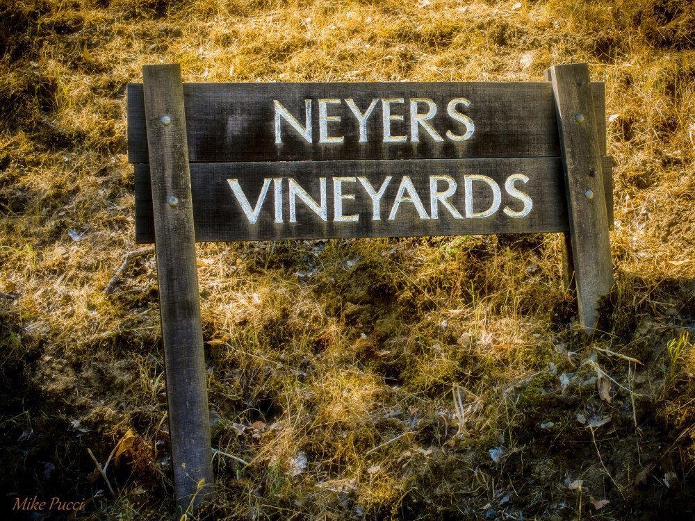 slide 3 of 6, Neyers Chardonnay Carneros District White Wine, 750mL Wine Bottle, 750 ml