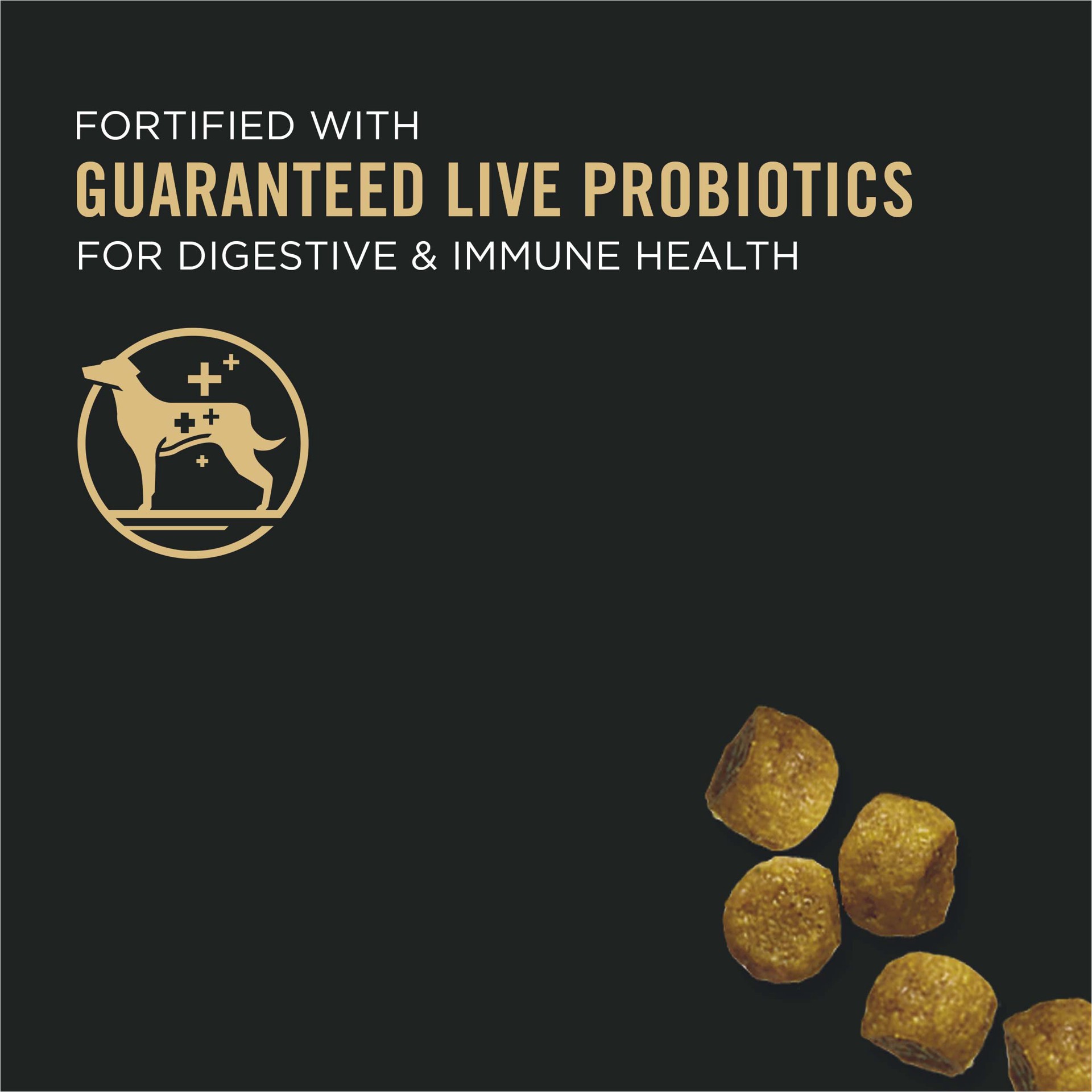 slide 5 of 9, Purina Pro Plan Puppy Toy Breed Formula Dog Food 5 lb, 5 lb