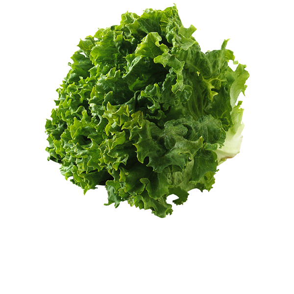 slide 1 of 1, Vermont Creamery Green Leaf Bunch, 1 ct