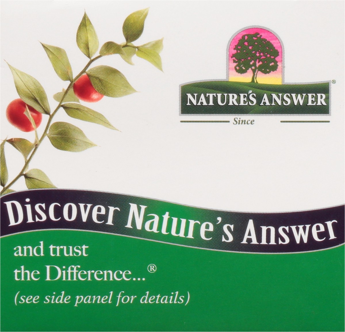 slide 4 of 14, Nature's Answer Butchers Broom Root 90VCap, 90 ct