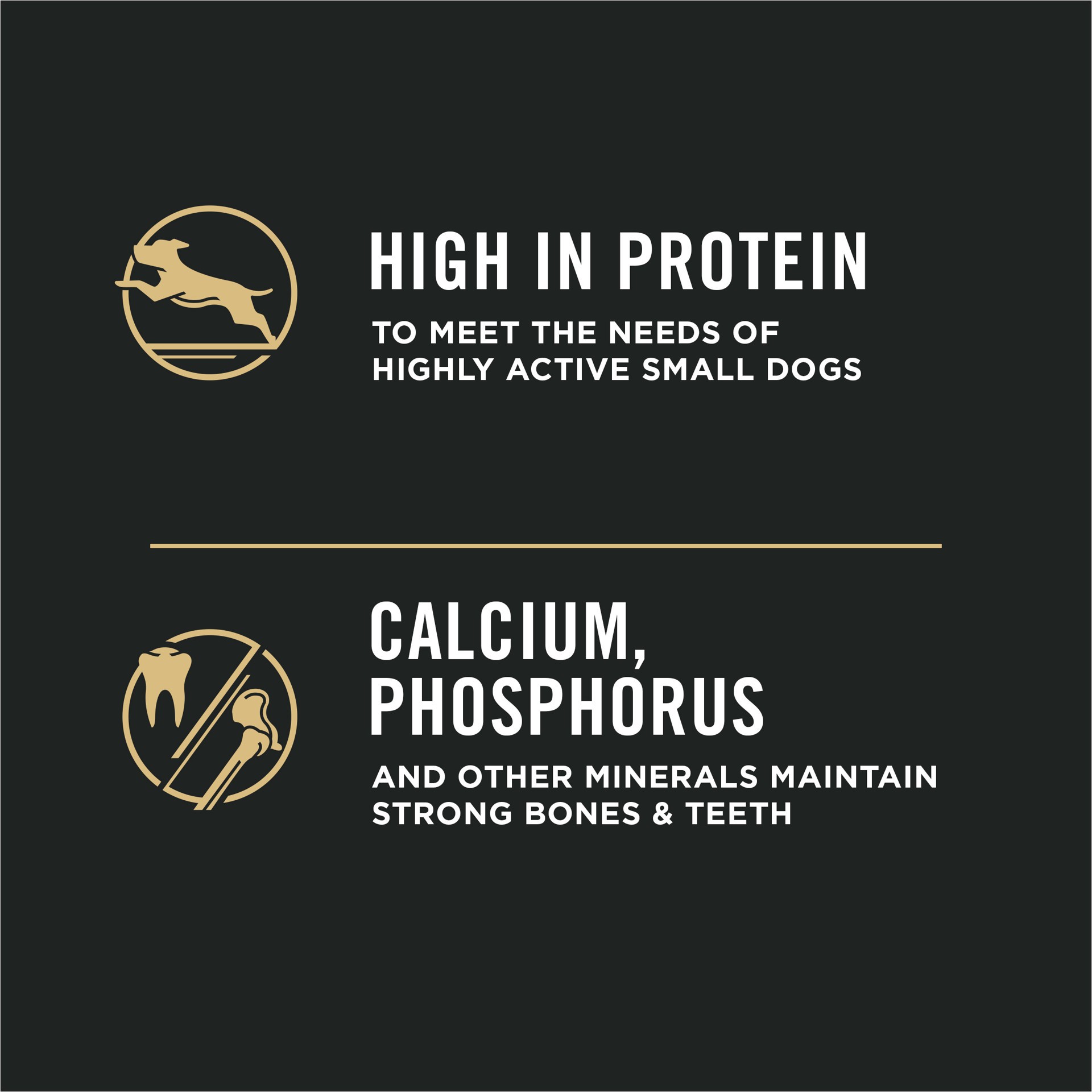 slide 5 of 7, Purina Pro Plan Small Breed Dry Dog Food, Shredded Blend Beef and Rice Formula With Guaranteed Live Probiotics, 18 lb