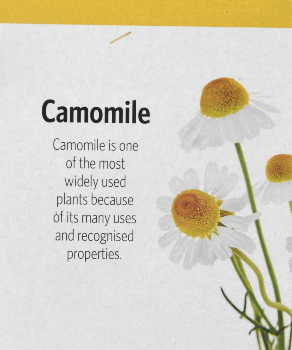 slide 10 of 12, Carmencita Tea Bags Camomile Tea - 10 ct, 10 ct