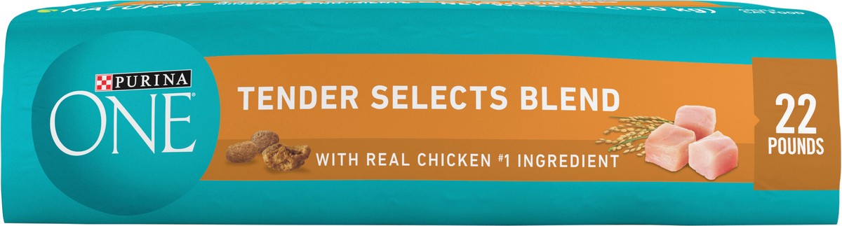 slide 3 of 9, ONE Purina ONE Natural Dry Cat Food, Tender Selects Blend With Real Chicken, 22 lb