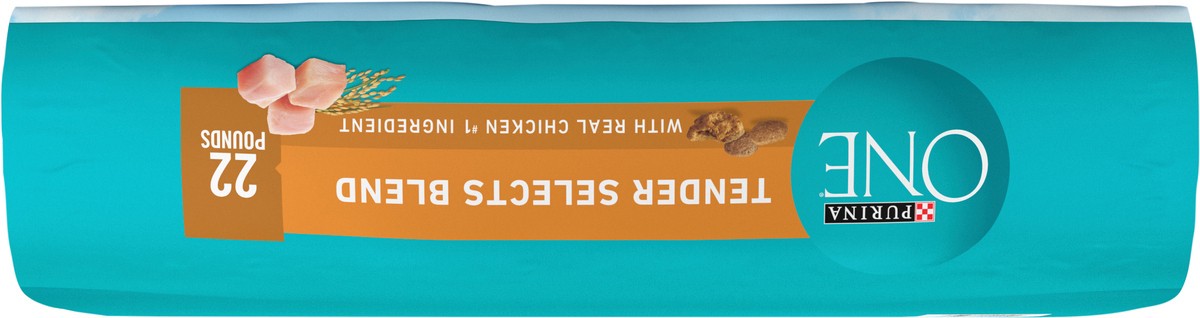 slide 7 of 9, ONE Purina ONE Natural Dry Cat Food, Tender Selects Blend With Real Chicken, 22 lb