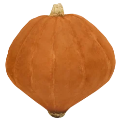 Golden Nugget Squash
