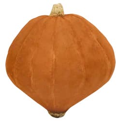 Golden Nugget Squash