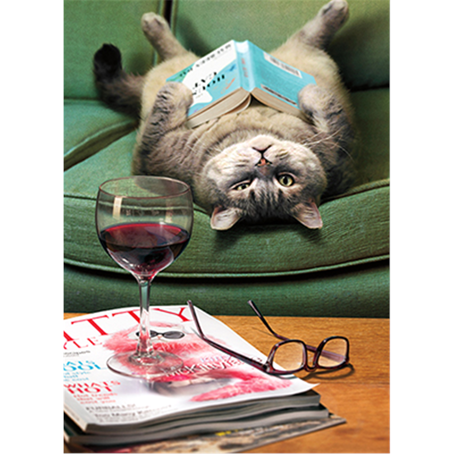 slide 1 of 1, Avanti Card Mothers Day Upside Down Cat Reading Book, 1 ct