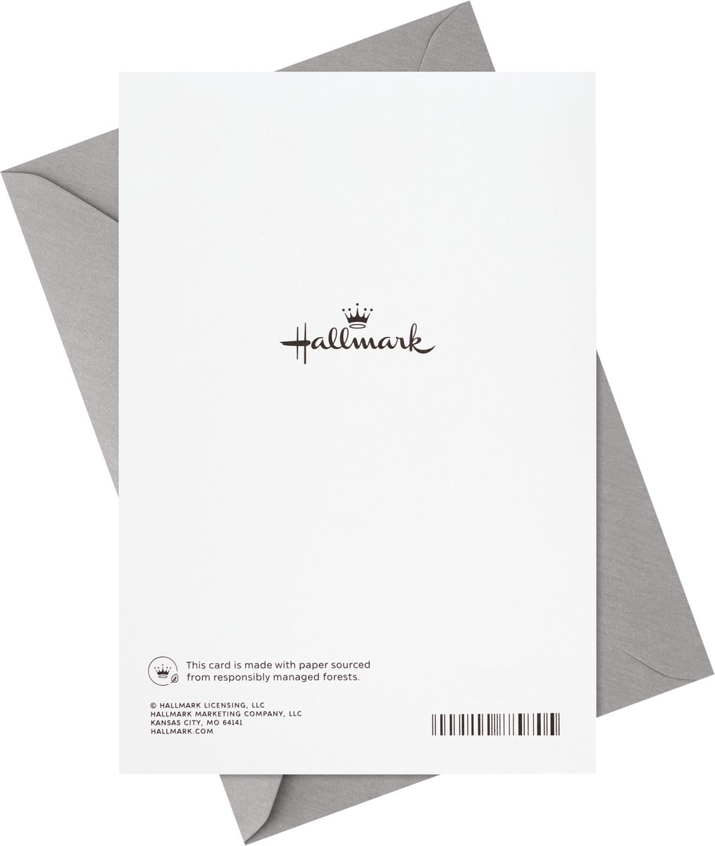 slide 2 of 3, Hallmark Dipolma Graduation Card Multipack, 1 ct