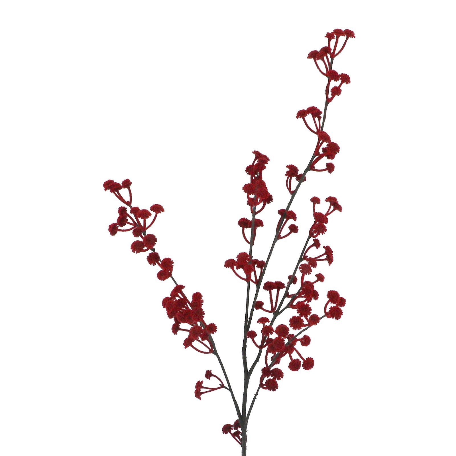 slide 2 of 2, 29" Red Baby's Breath Stem By Ashland, 9 in x 7 in x 29 in