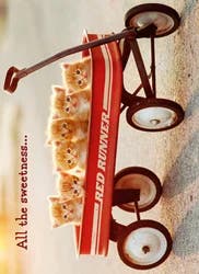 Avanti Pet Kittens in Wagon Card