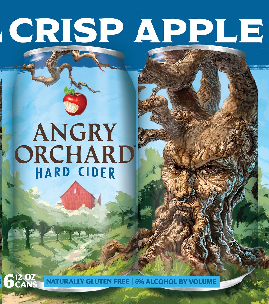 slide 2 of 8, Angry Orchard Hard Cider, Crisp Apple, 6 Pack, 6 ct