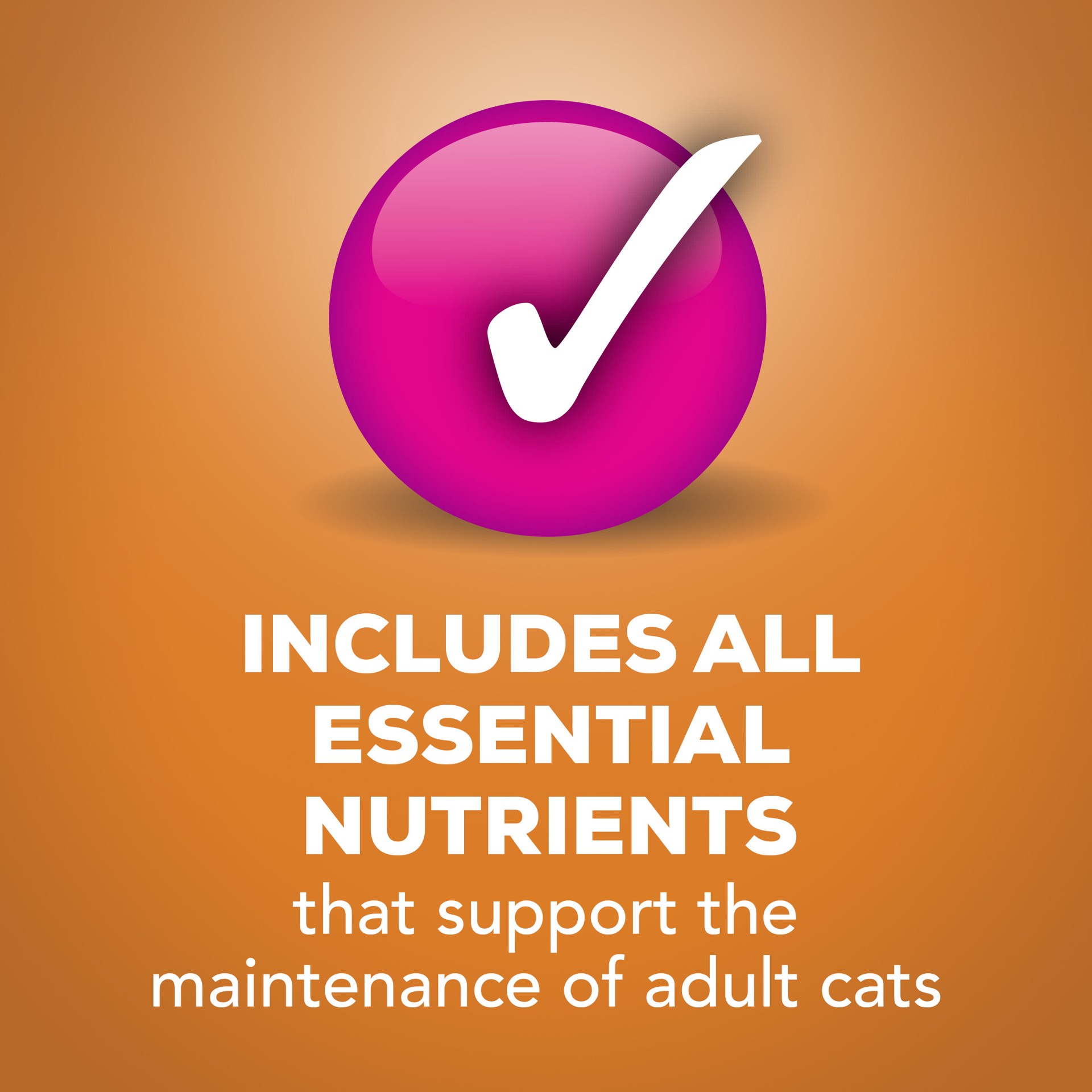 slide 3 of 7, Friskies Purina Friskies Gravy Wet Cat Food, Shreds With Chicken, 5.5 oz