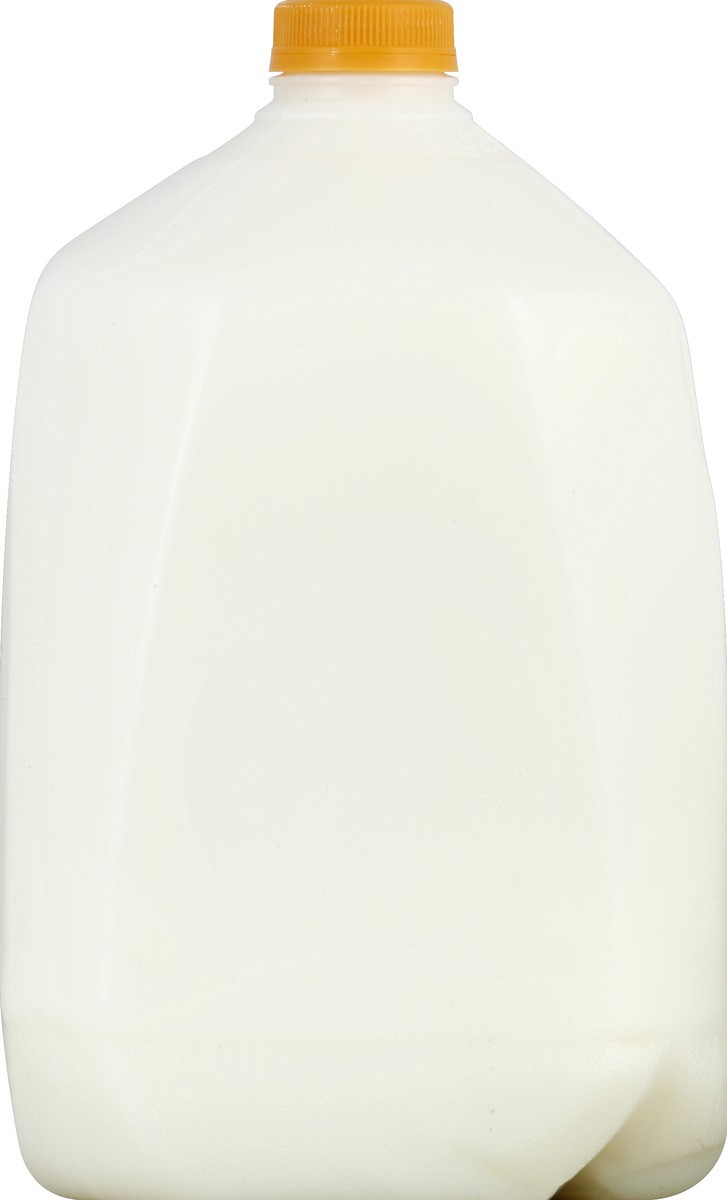 slide 3 of 4, Turkey Hill Milk, Fat Free - 1 gal, 1 gal