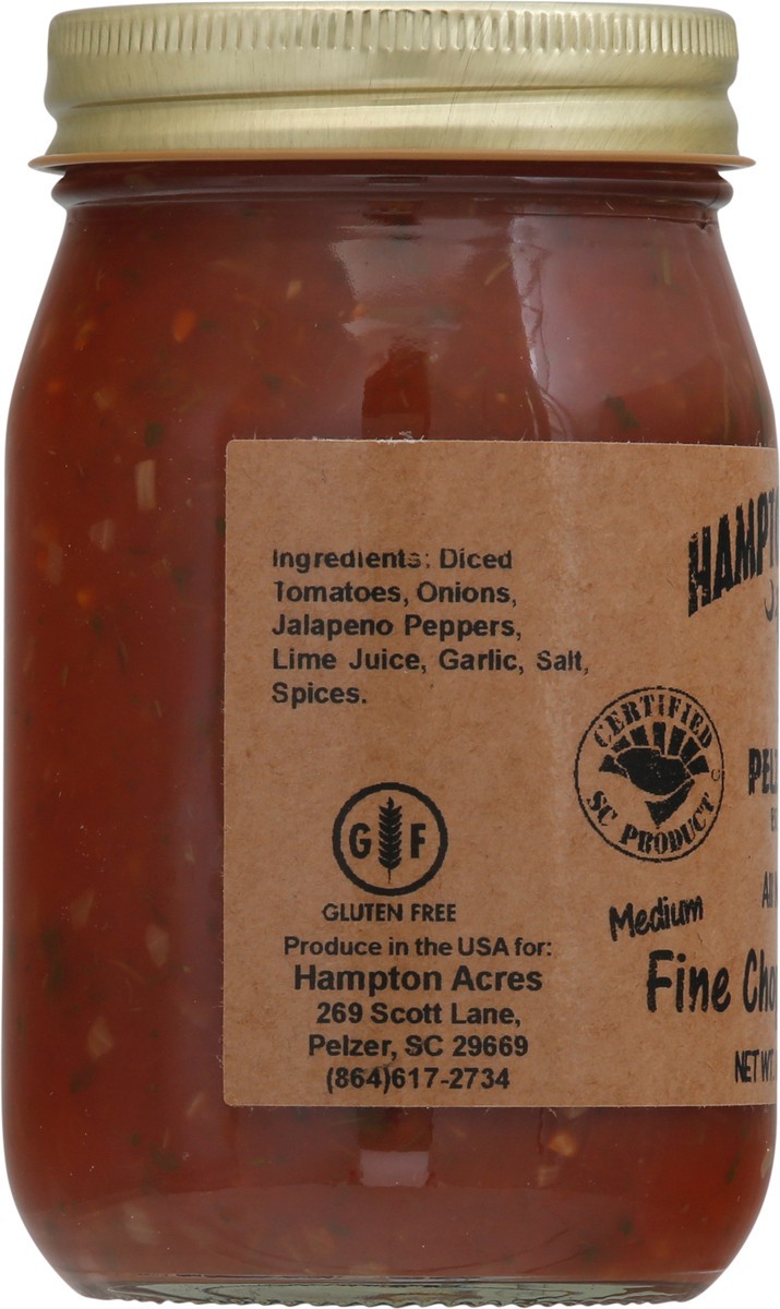 slide 3 of 9, Hampton Acres Medium Fine Chopped Salsa 16 oz Jar, 16 oz