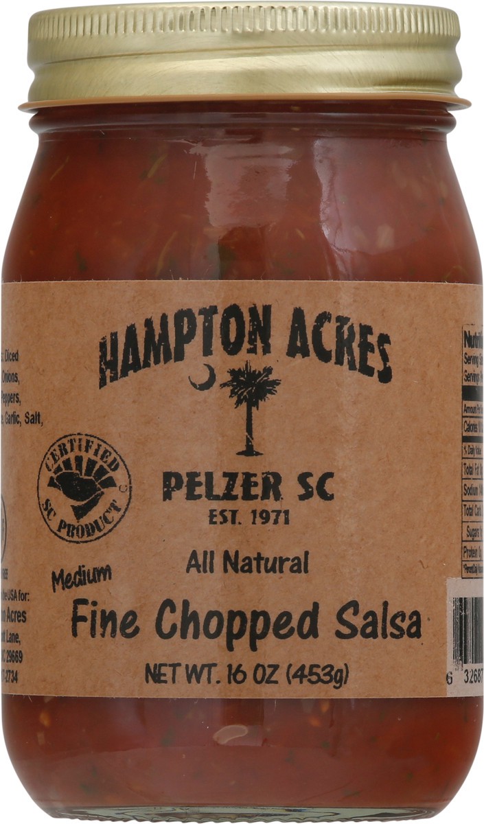 slide 1 of 9, Hampton Acres Medium Fine Chopped Salsa 16 oz Jar, 16 oz