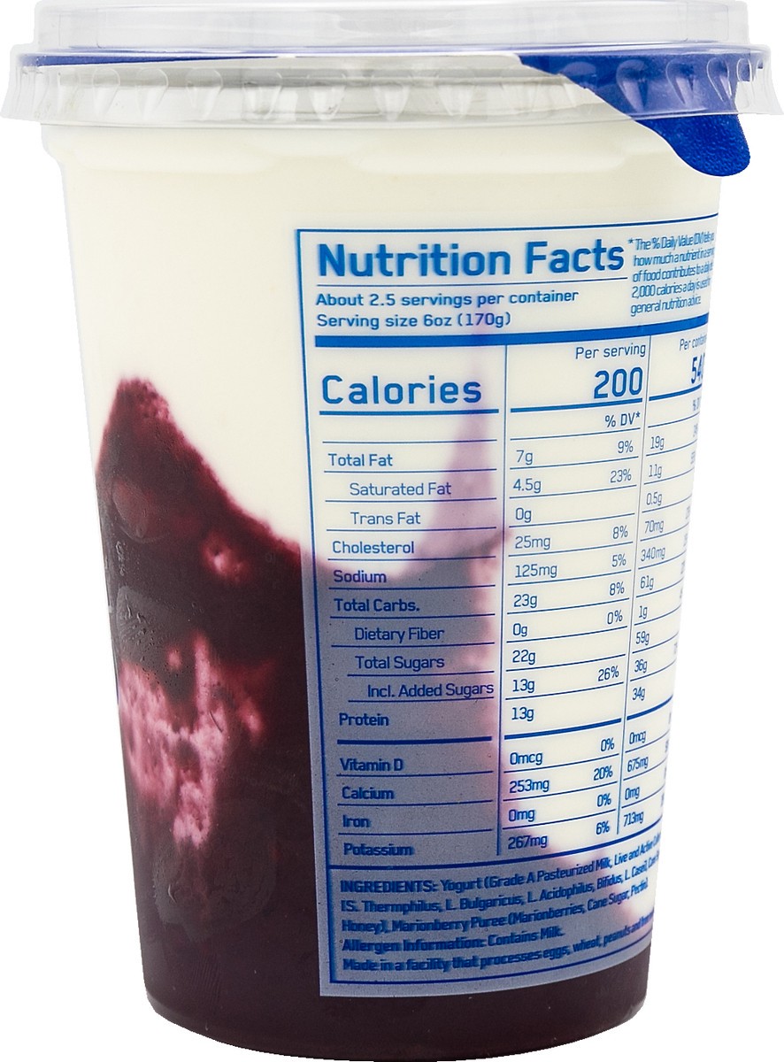 slide 2 of 4, Ellenos Marionberry Real Greek Yogurt - 16 oz, 16 oz