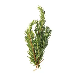 Fresh Rosemary