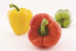 Red, Yellow & Green, 3 Pack Peppers (Stoplight)