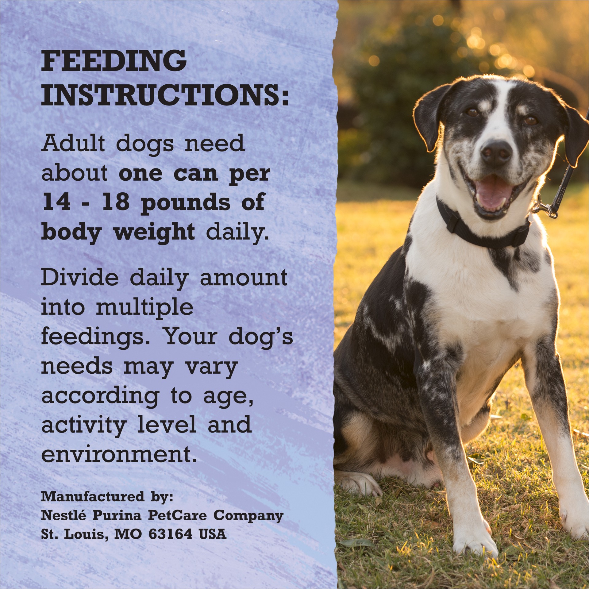 slide 5 of 8, Beyond Purina Beyond High Protein, Grain Free, Natural Pate Wet Dog Food, WILD Turkey, Liver & Duck Recipe, 13 oz