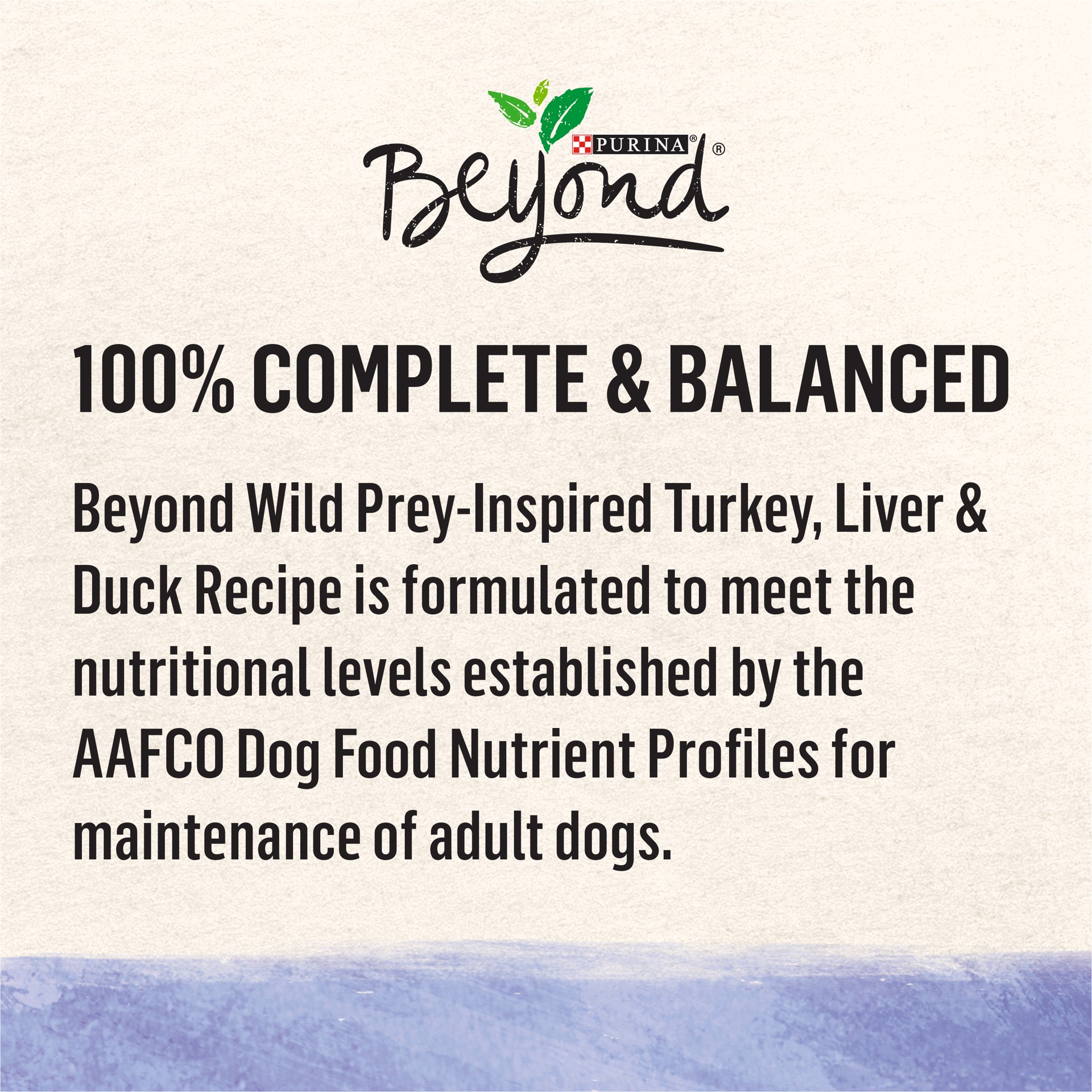 slide 2 of 8, Beyond Purina Beyond High Protein, Grain Free, Natural Pate Wet Dog Food, WILD Turkey, Liver & Duck Recipe, 13 oz