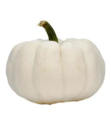 Produce Pumpkin 1 ea
