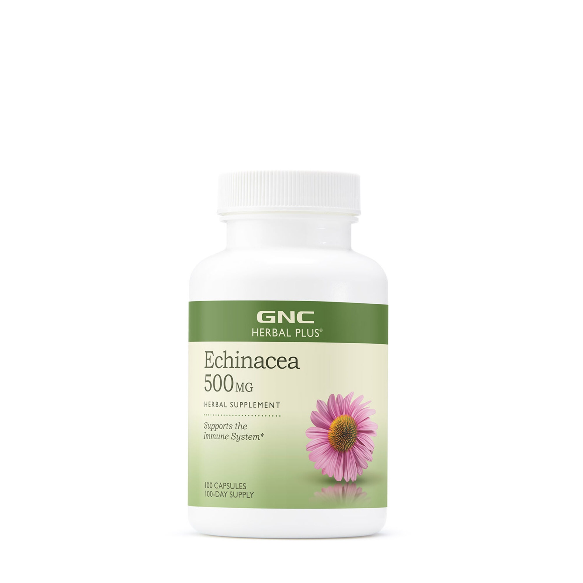 slide 1 of 1, GNC Herbal Plus Echinacea 500mg, 100 ct