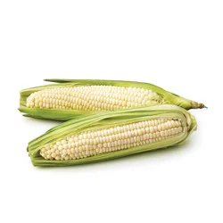 Corn Sweet