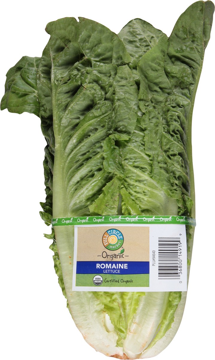 slide 6 of 14, Full Circle Market Organic Romaine Lettuce 1 ea, 1 ea