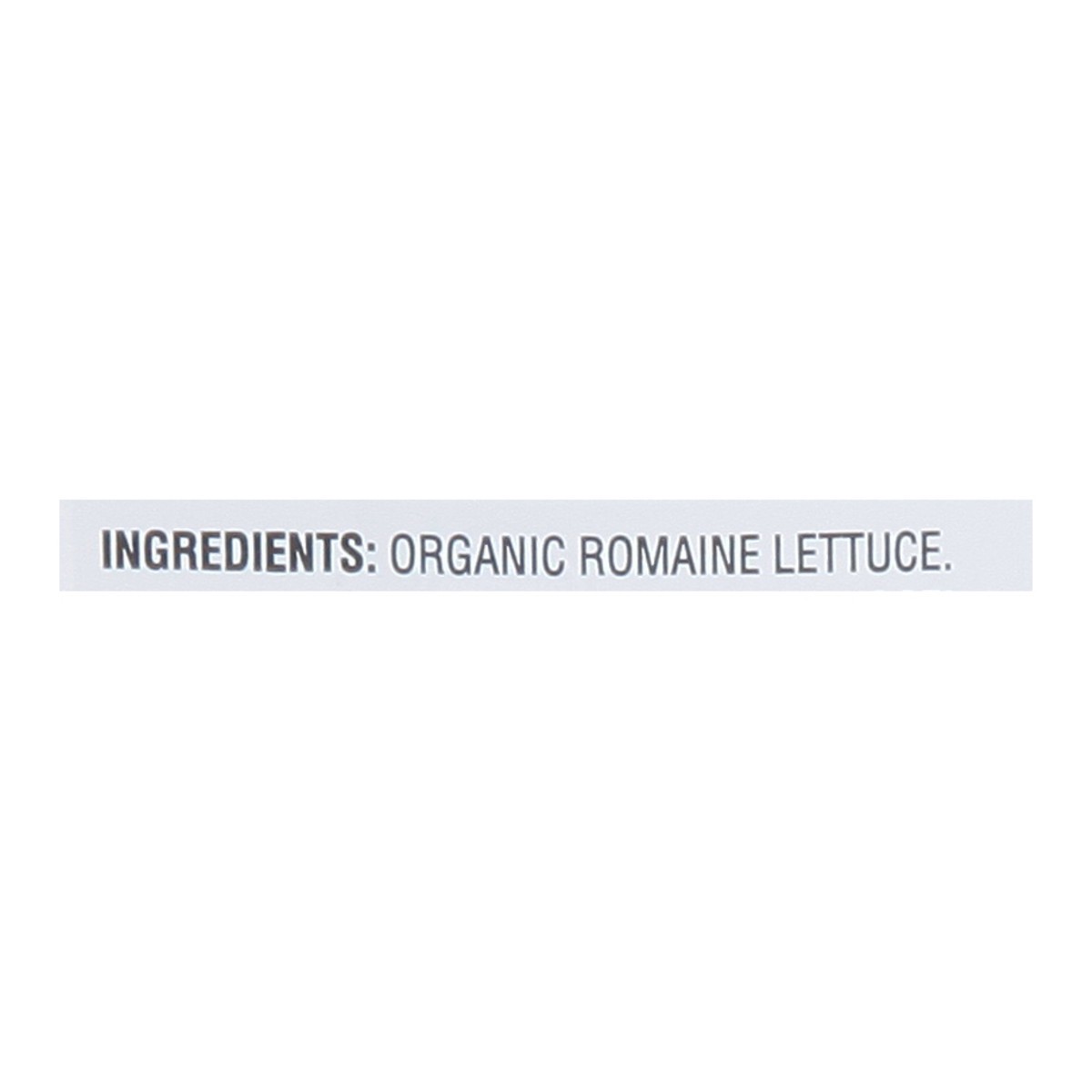 slide 9 of 14, Full Circle Market Organic Romaine Lettuce 1 ea, 1 ea