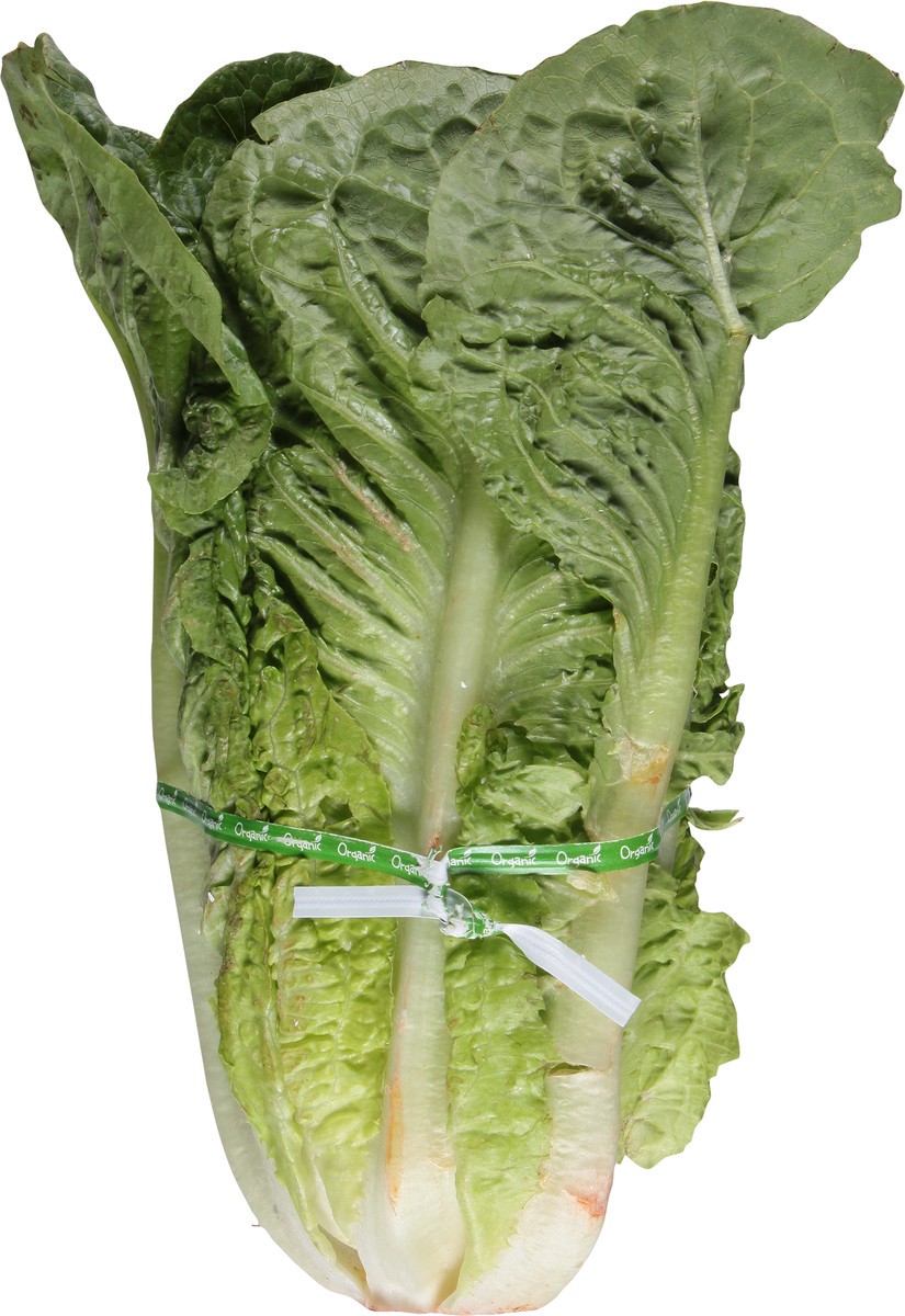 slide 10 of 14, Full Circle Market Organic Romaine Lettuce 1 ea, 1 ea