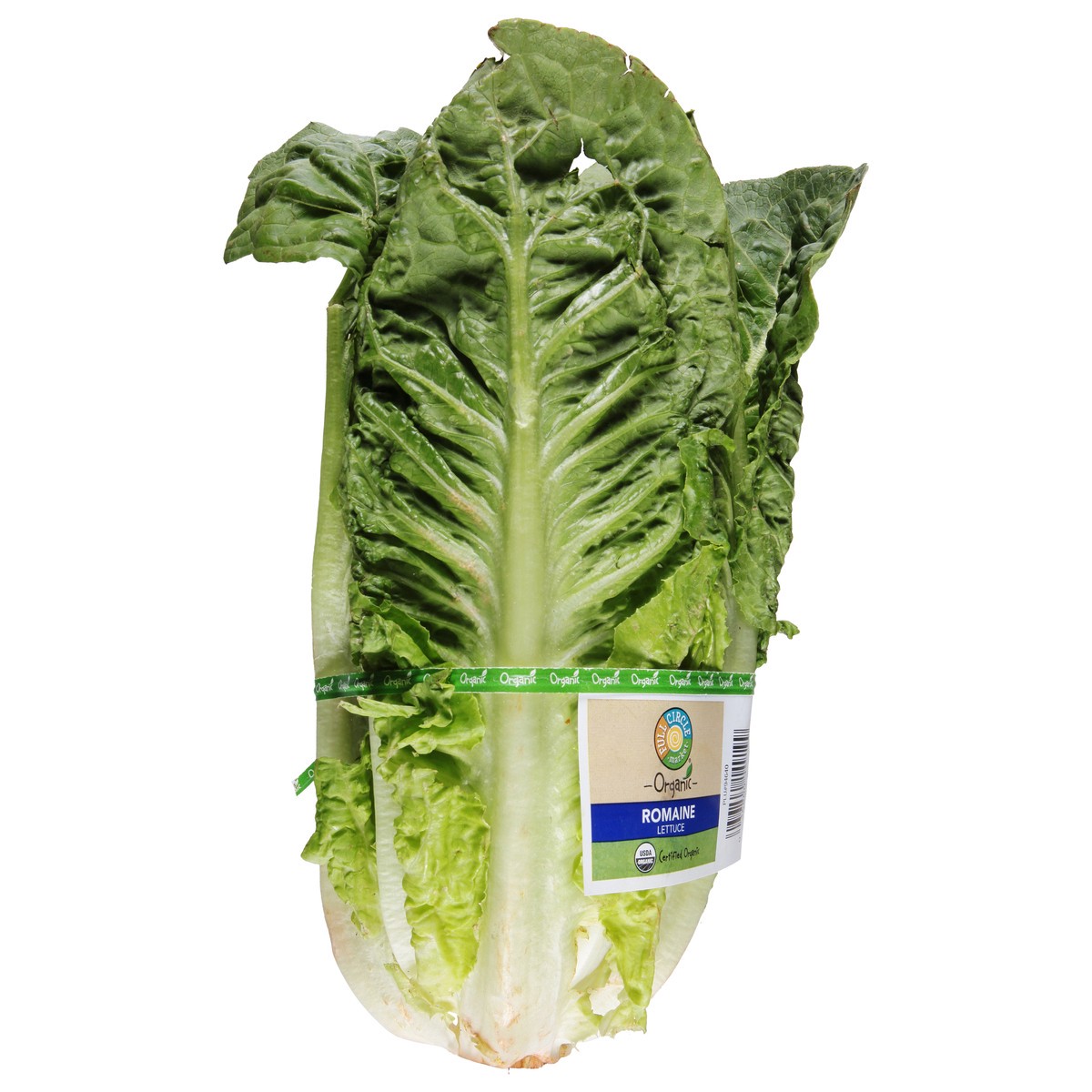 slide 7 of 14, Full Circle Market Organic Romaine Lettuce 1 ea, 1 ea