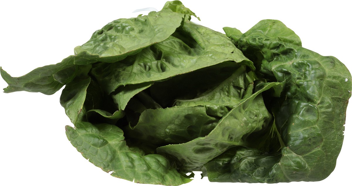 slide 3 of 14, Full Circle Market Organic Romaine Lettuce 1 ea, 1 ea