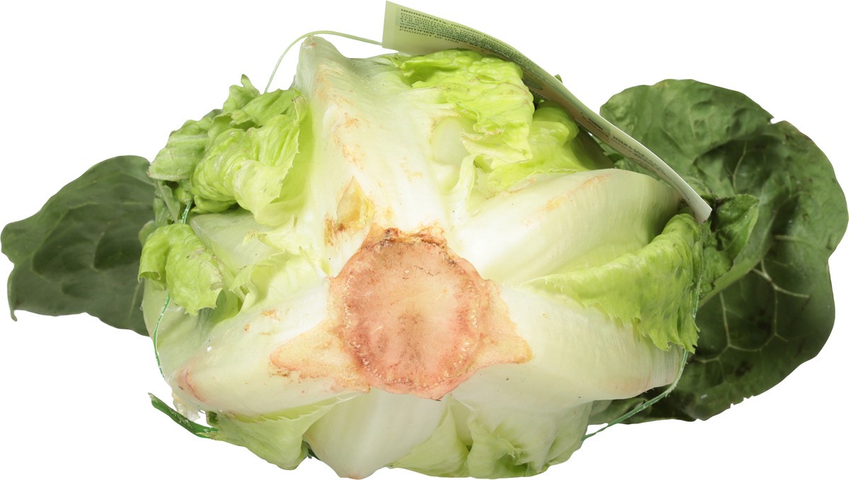 slide 4 of 14, Full Circle Market Organic Romaine Lettuce 1 ea, 1 ea