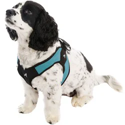 Gooby Free Harness - Turquoise