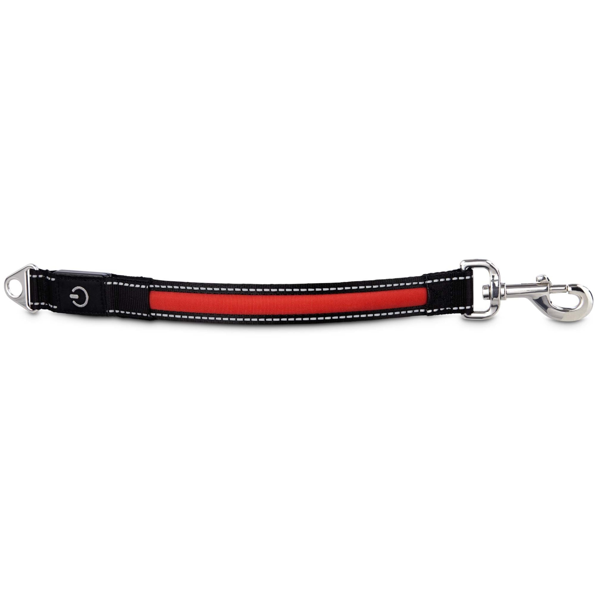 slide 1 of 1, Good2Go LED Light-Up Lead Extension for Dogs, 1 ct