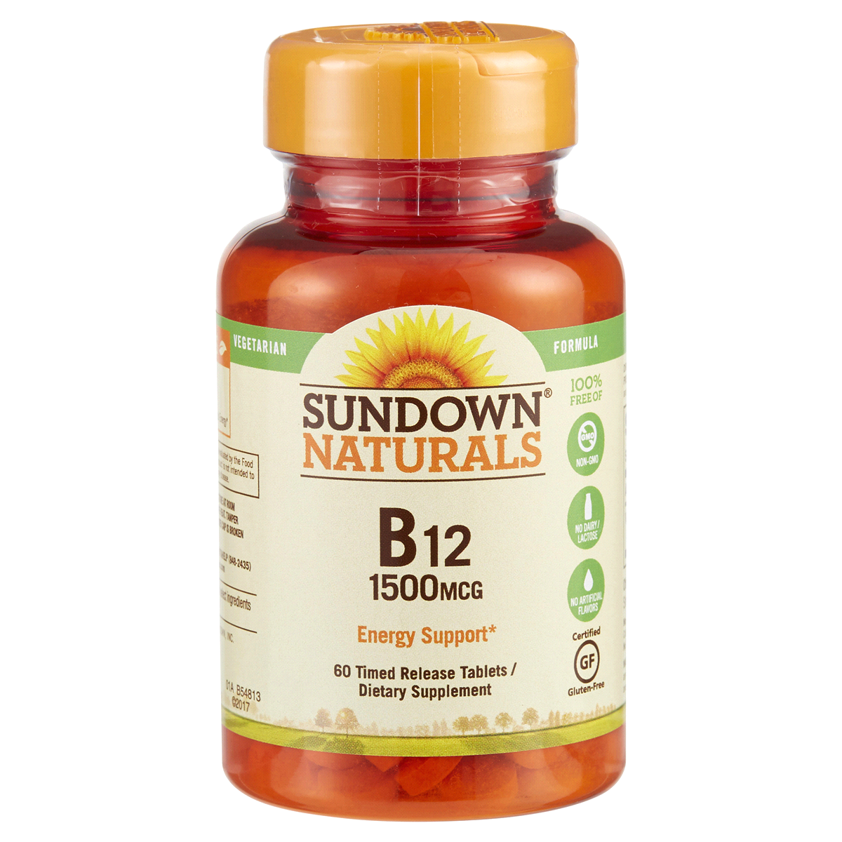 slide 1 of 1, Sundown Naturals High Potency Vitamin B12, 60 ct