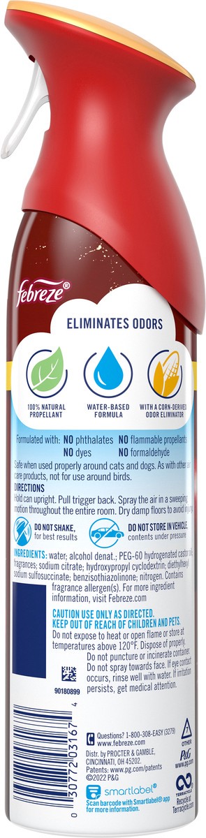 slide 2 of 4, Febreze Air Freshener Spray, Odor-Fighting Room Spray,Baked Cinnamon Apples Scent, 8.8oz, 1 Count, 8.8 oz