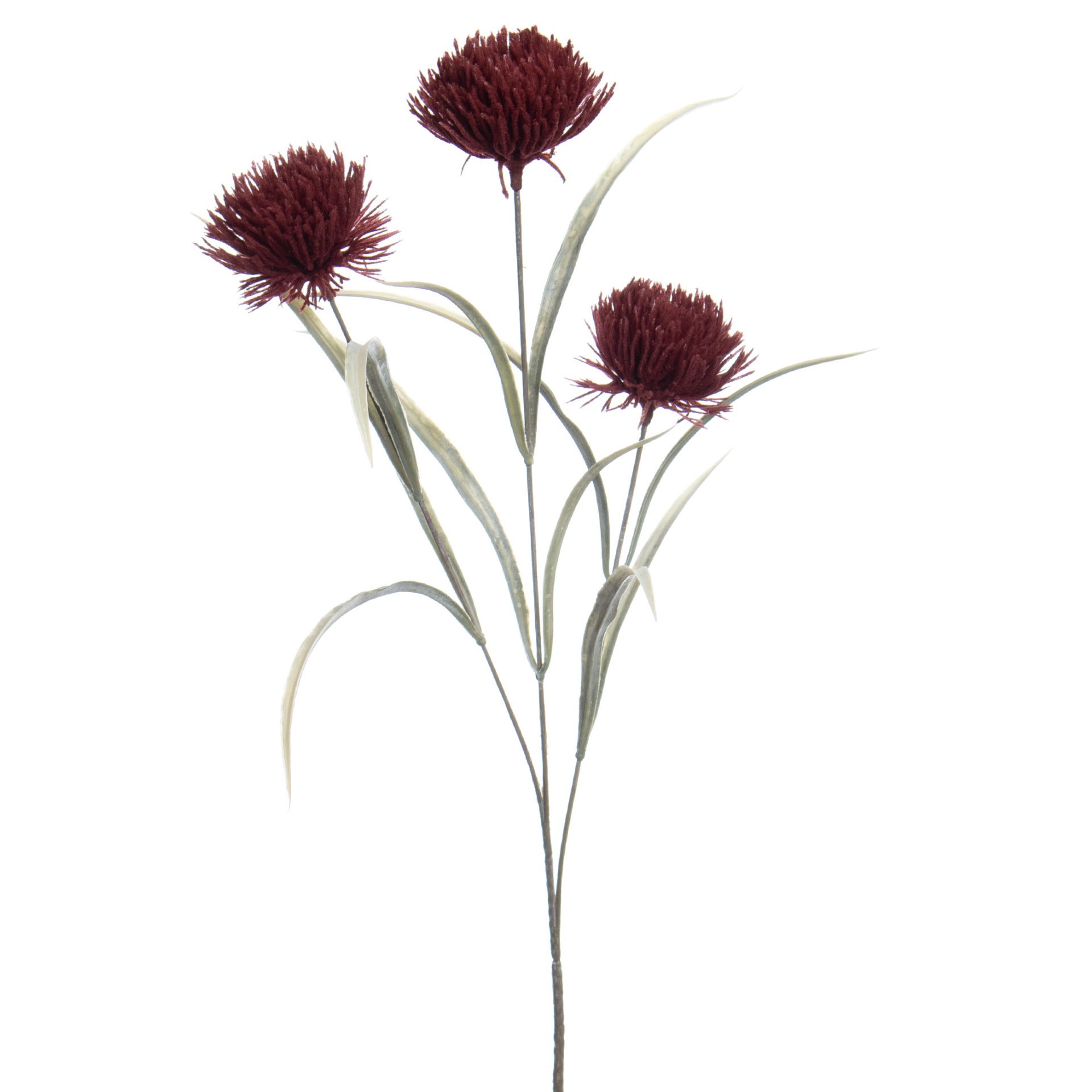 slide 2 of 3, 27.5" Dark Red Carnation By Ashland, 27.5 in