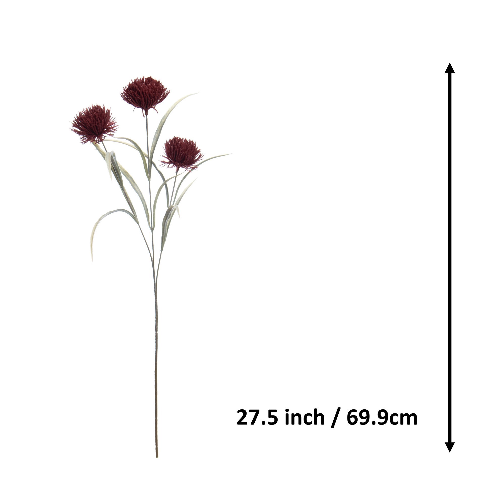 slide 3 of 3, 27.5" Dark Red Carnation By Ashland, 27.5 in