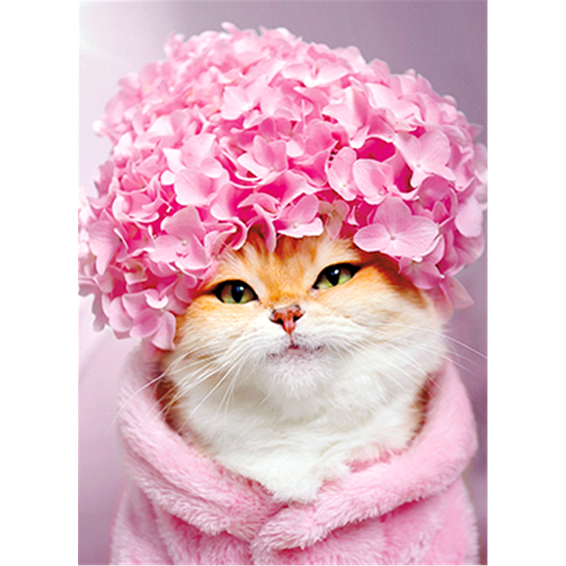 slide 1 of 1, Avanti Card Mothers Day Kitty Cat Hydrangea Cap, 1 ct