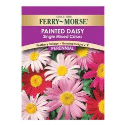 Ferry Morse Painted Daisy