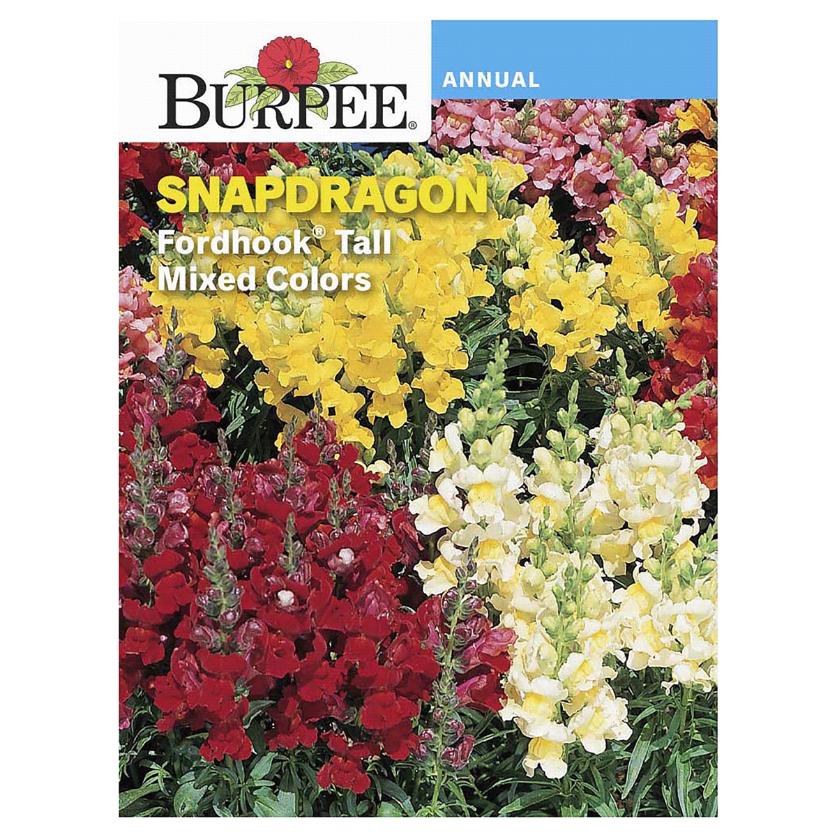 slide 1 of 5, Burpee Snapdragon Fordhook Tall Mix Seeds, 1 ct