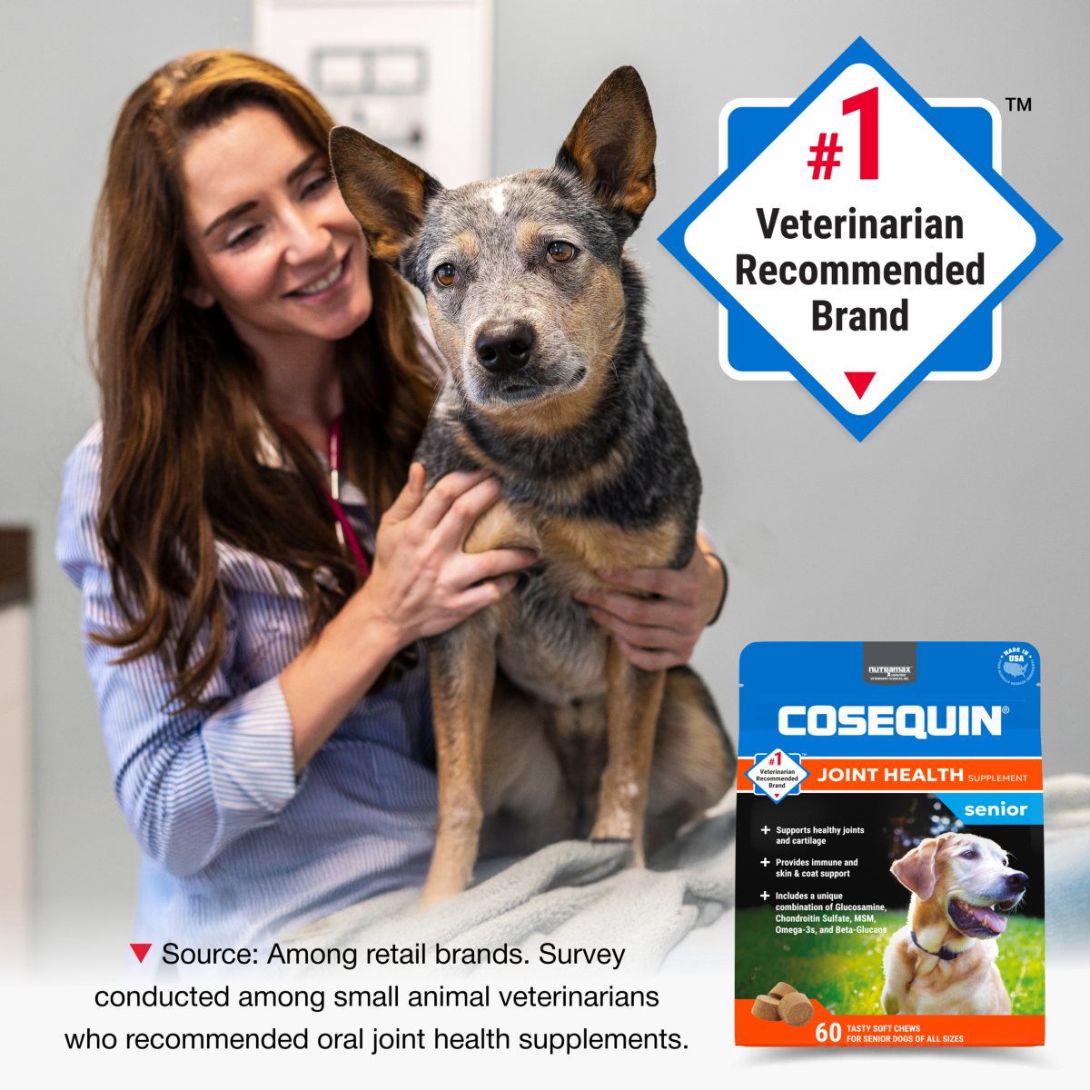 slide 8 of 8, Nutramax Pet Cosequin Csq-60ct Senior Chews, 60 ct
