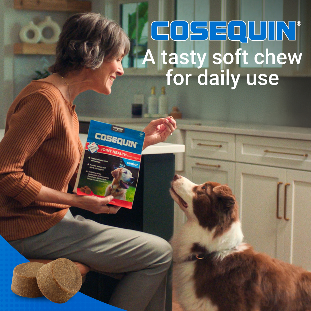 slide 2 of 8, Nutramax Pet Cosequin Csq-60ct Senior Chews, 60 ct