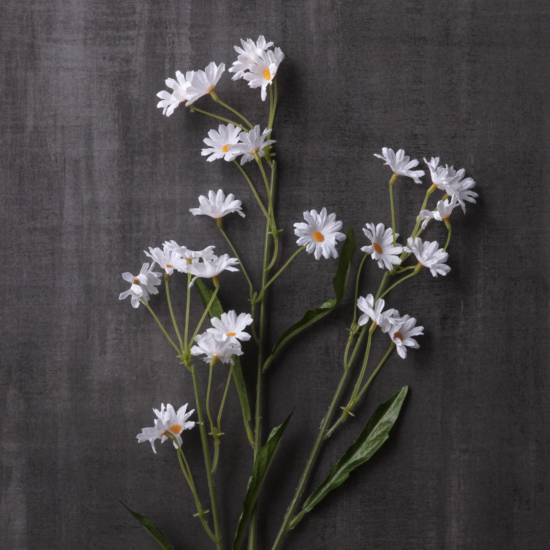 slide 2 of 3, White Mini Daisy Spray By Ashland, 21.5 in