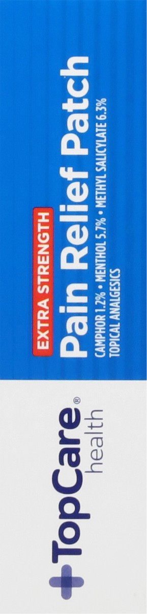 slide 6 of 9, TopCare Pain Relieving Patch, 40 ct